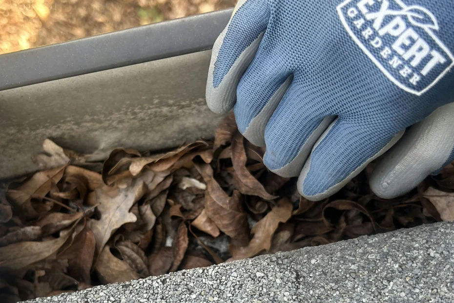 Gutter Cleaning Argyle TX