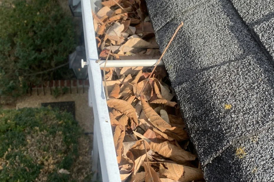 Gutter Cleaning Argyle TX