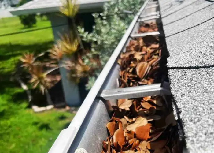 Gutter Cleaning Argyle TX home page